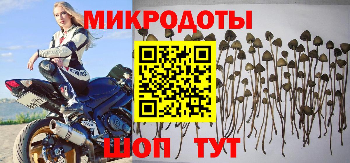 Карпинск  Псилоцибиновые грибы GOLDEN TEACHER  Вход с VPN 